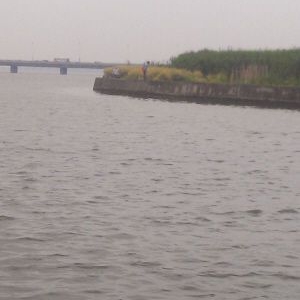 苏州36亿“地王”沦为菜地