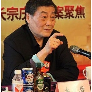 宗庆后建议政府向每户城镇居民提供一套经适房