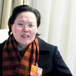 全国人大代表程慧芳:尽快制定《中小企业金融服务法》