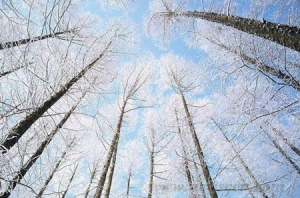 еװػ2012