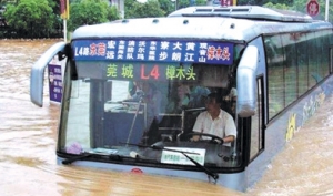 걩¶   ʩ̴