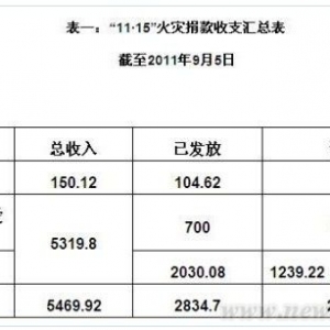 上海高楼火灾捐款发放情况公布