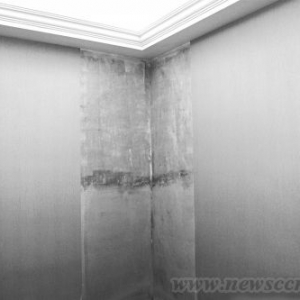上海仁恒怡庭2千万精装别墅渗水 开发商承认装修施工不到位