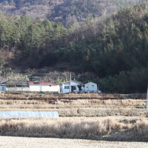 ͳɱסլLow Cost House