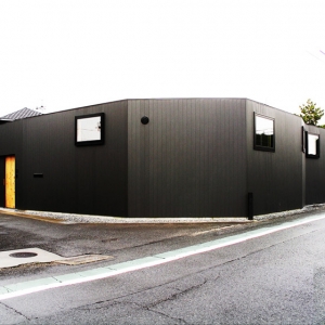TסլT house