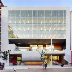 ƴCollage Building