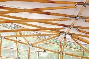 “竹屋”“向日葵”角逐全球太阳能建筑竞赛