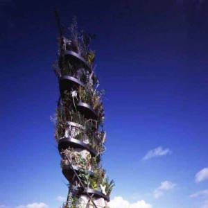 人住“树宅”:新颖的建筑设计
