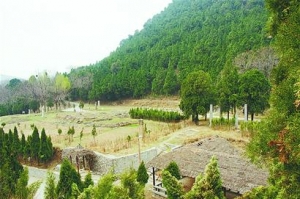 老照片揭示神通寺旧貌 今年将对遗址抢救发掘