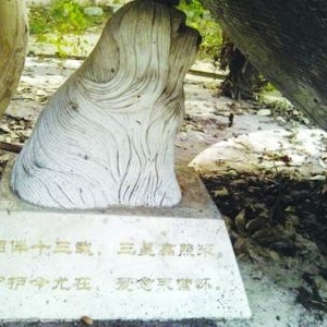 南京现“千万元狗墓” 官方回应只是雕像