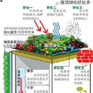 西安市区建筑将戴“草帽”