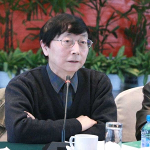 程泰宁:中国建筑价值取向西方化