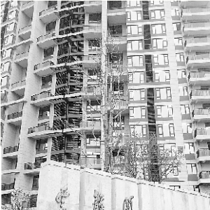 时评:江边“排屋区”竖起7层高建筑 谁该担责?