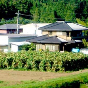 时评:绿色建筑亟待弥补设计短板
