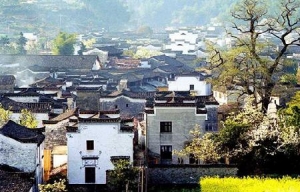 时评:城镇化建设不可忽视传统村落保护