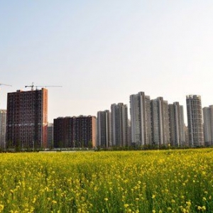 时评:我们要怎样的“城镇化”?