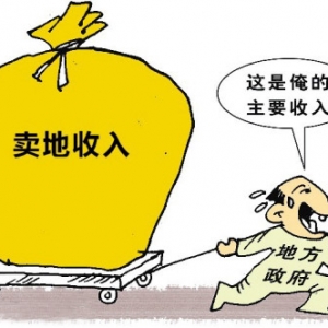 时评:城镇化要处理好政府和市场的关系