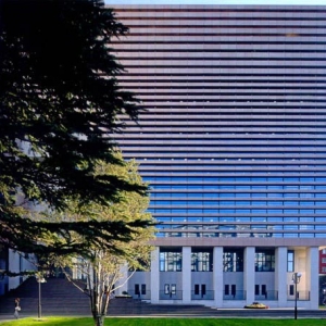 时评:中国人与违章建筑