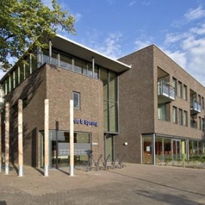 De Vijfsprong