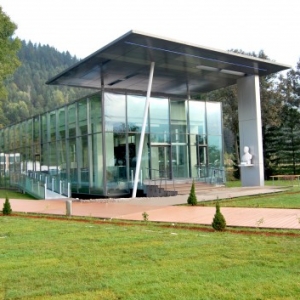 Stejaruο