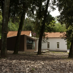 ӢĲ