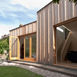 ׶Timber Fin