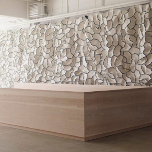 籾ȫkvadrat