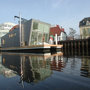 Silberfisch