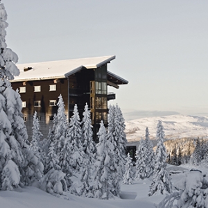 COPPERHILLɽƵ