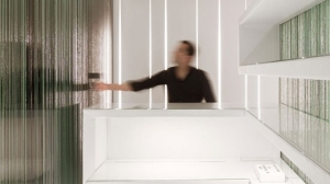 ˹