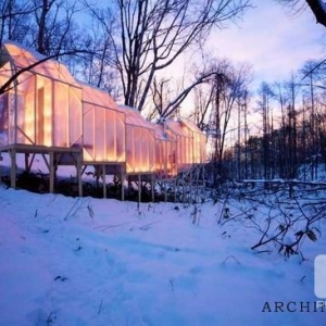 hidemi nishida: fragile shelterʱӻ