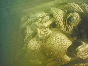 ԭҦĿ޽ТƷŴ