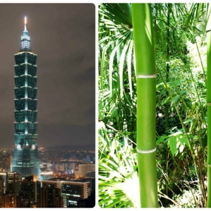 全球十大仿生建筑设计(图)