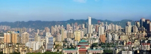 죺ݼȺ 2020ֻȫ1/3˿ڣͼ