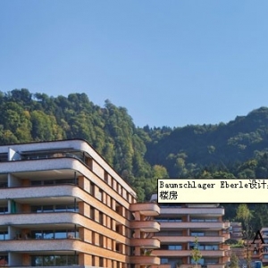 Baumschlager EberleưµLochauĿ˹̹˹¥