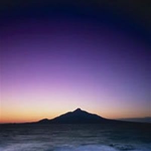 ʮֲĹֵ