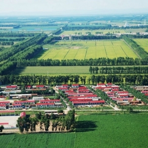 时评:地方政府债台高筑 城镇建设沦为“圈地运动”