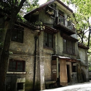 杨晔:不要隔断城市的年轮