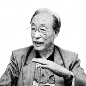 谢辰生:城镇化不能“千城一面”拆掉古建就是拆毁历史