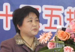 ȫͳ뽨ҵչ