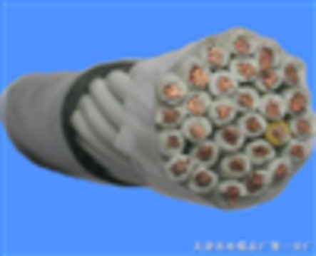 ͨŵʲôӵ