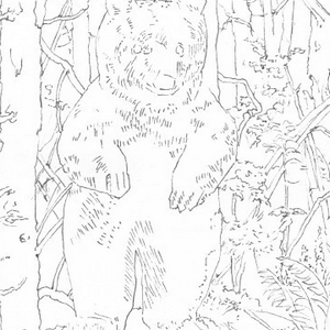 “福利博弈(解决方案239-246)”展览