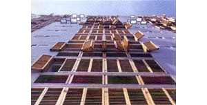 ׽조WAй2002