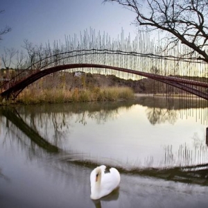 Austin