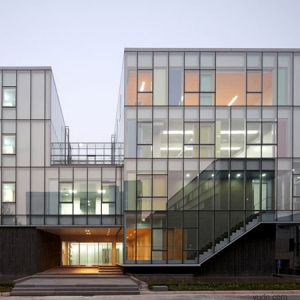 paju