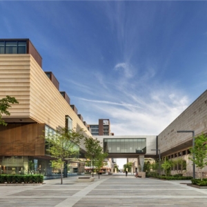 ChazenݣThe Chazen Museum of Art