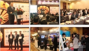 主题公园与景区国际峰会2013顺利召开