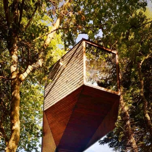 ɭݣTree Snake Houses