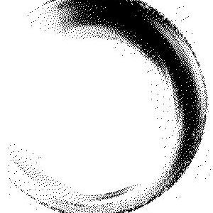 ӽ