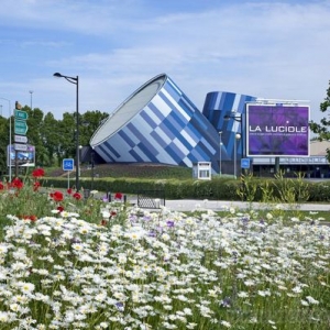 La Lucioleĵɫ